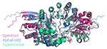 OpenFold: Retraining AlphaFold2 yields new insights into its learning mechanisms and capacity for generalization